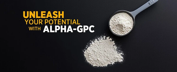 Next-Level Performance Enhancement is Here