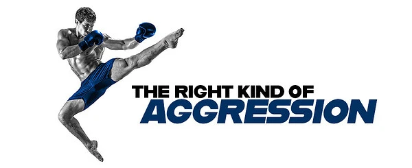 Aggression, Hormones, and Diet: The Facts