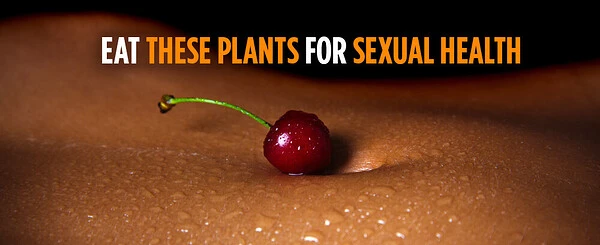 Nature's Surprising Sexual Performance Boosters